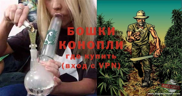 apvp Вязьма