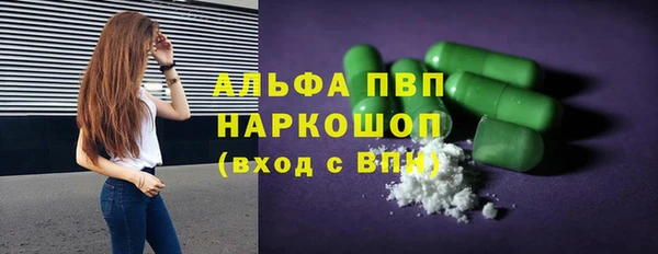 винт Вяземский