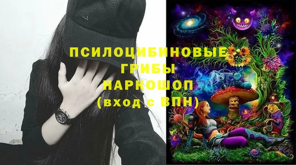 apvp Вязьма