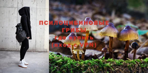 тгк Вязники