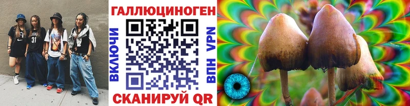 OMG ССЫЛКА  цена   Севастополь  Галлюциногенные грибы мухоморы 